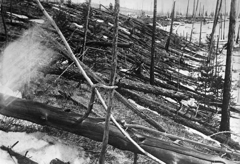 Pemandangan pepohonan yang hancur akibat ledakan meteor di atas Tunguska, Siberia pada 30 Juni 1908. Gambar: Getty Images