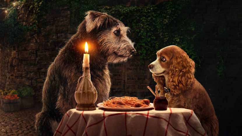 Lady And The Tramp. Dok Disney+ Hotstar