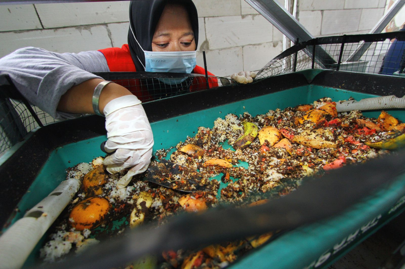  Kelompok Malika mendapatkan pendampingan teknis dari Fakultas Peternakan Institut Pertanian Bogor berupa pelatihan-pelatihan inovasi diversifikasi maggot dan pengemasan maggot. (Dok. Matapantura)