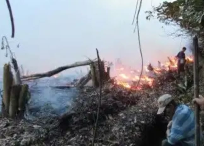 Warga menjaga parit batas lahan yang dibakar saat pembukaan lahan oleh masyarakat adat Dayak Iban di Sungai Utik, Kapuas Hulu, Kalimantan Barat, agar api tidak menjalar (foto: dokumentasi ypb).