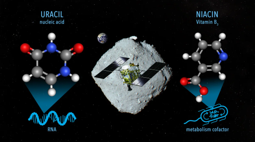 Urasil dan Niasin ditemukan di sampel asteroid Ryugu. (JAXA/NASA)