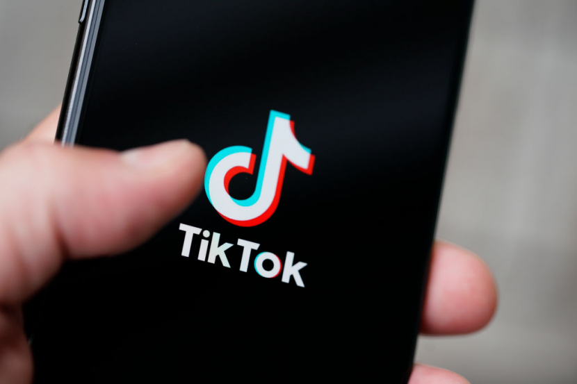 TikTok. Mendownload video dari TikTok tanpa watermark kini lebih mudah pakai SnapTik. Foto: IST. 