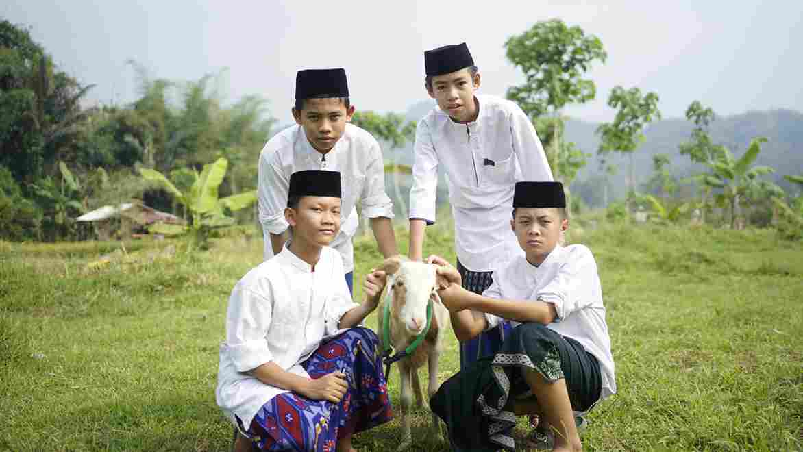 kambing1_11zon