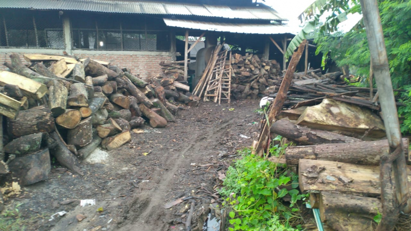 Kayu Bakar: Para pengusaha tahu di wilayah Indramayu, khususnya di Desa Terusan, Kecamatan Sindang, menggunakan kayu bakar untuk proses pemasakan bahan tahu, Jumat (18/3/2022). Penggunaan kayu bakar ini dinilai lebih efisien daripada menggunakan bahan bakar gas. (Agus Yulianto/matapantura.republika.co.id)