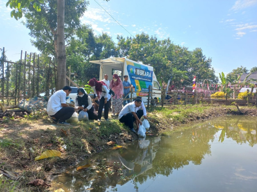 Penebaran bibit ikan nila di perairan umum Kecamatan Kedokanbunder. (Diskominfo Kabupaten Indramayu)