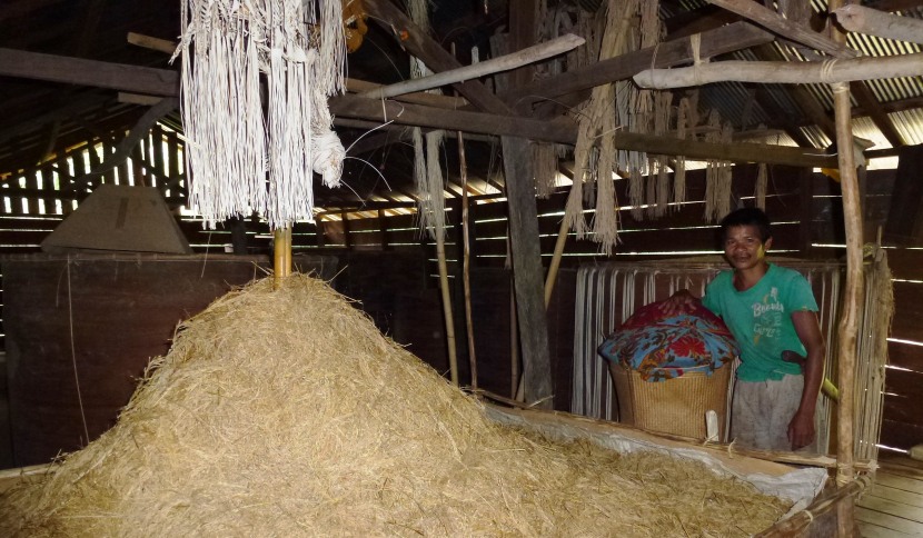 Lulung dari kulit kayu damar di lumbung padi masyarakat Dayak Meratus.