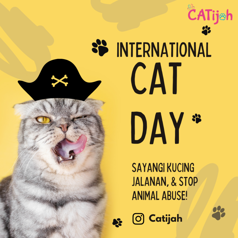Hari kucing Internasional. Foto: Instagram Catijah