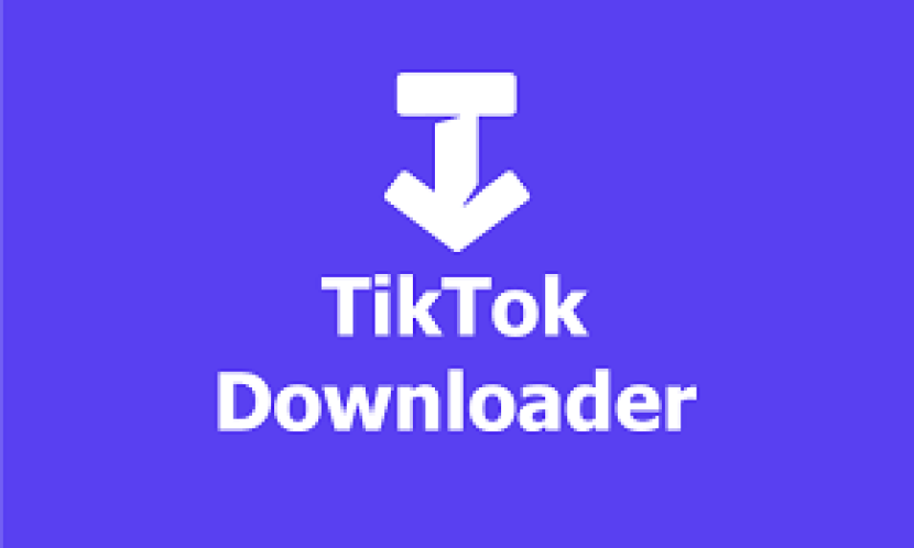 TikTok Downloaders bisa dengan SssTikTok.