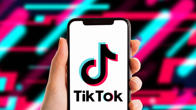 Cara download video TikTok tanpa watermark mudah memakai SssTikTok.