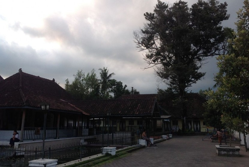Pohon Sawo kecik raksana di depan Masjid Pathok Nagari Ploso Kuning, Yogyakarta.