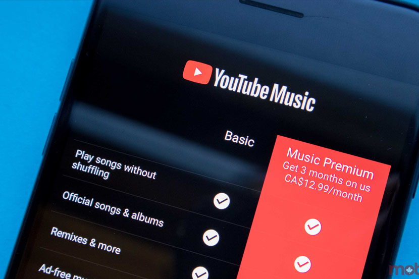 Youtube Music Premium.