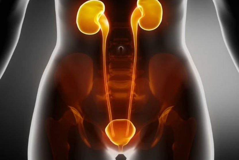 Ratusan anak dilaporkan mengidap gagal ginjal akut misterius (acute kidney injury of unknown origin).