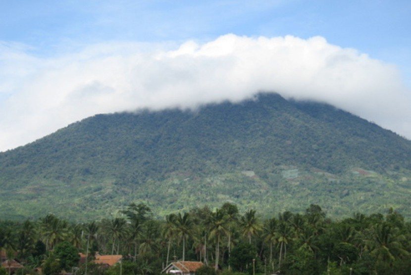 Gunung Tanggamus banyak ditanam kopi robusta, sekalipun juga cocok untuk arabika.