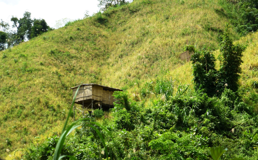 Lereng hutan yang dibuka untuk ladang padi (foto: priyantono oemar).