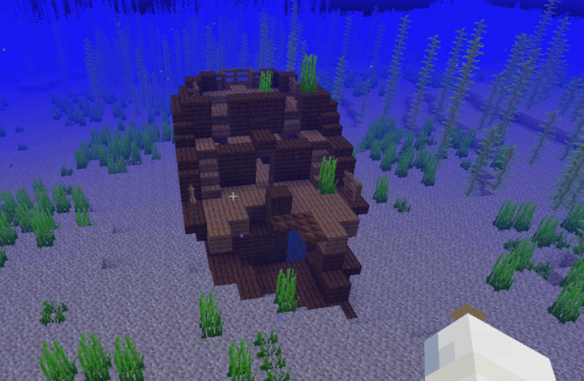 Minecraft. Buried Treasure di Ship Wreck. Foto: linuxhint