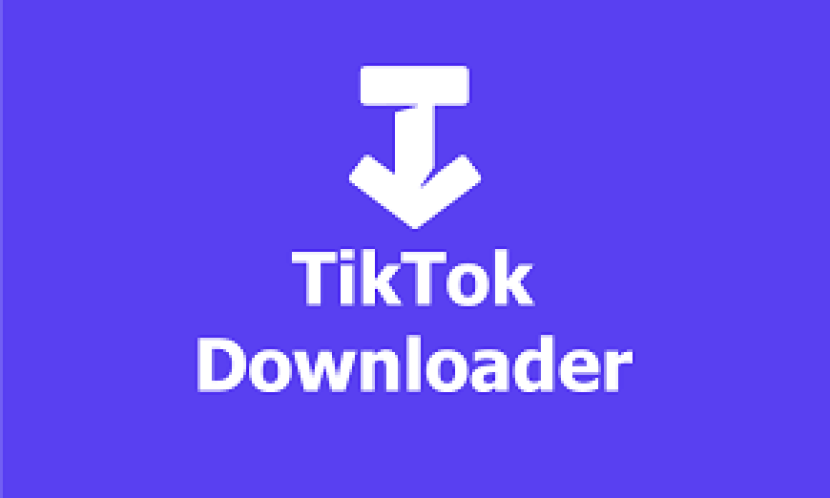 TikTok Downloader bisa dipakai sepuasnya.