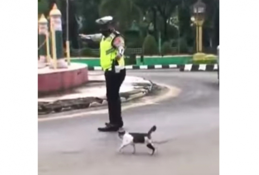 Aksi pak polisi membantu kucing menyeberang jalan viral di sosmed. (Foto: tangkapan layar, Divisi Humas Polri)