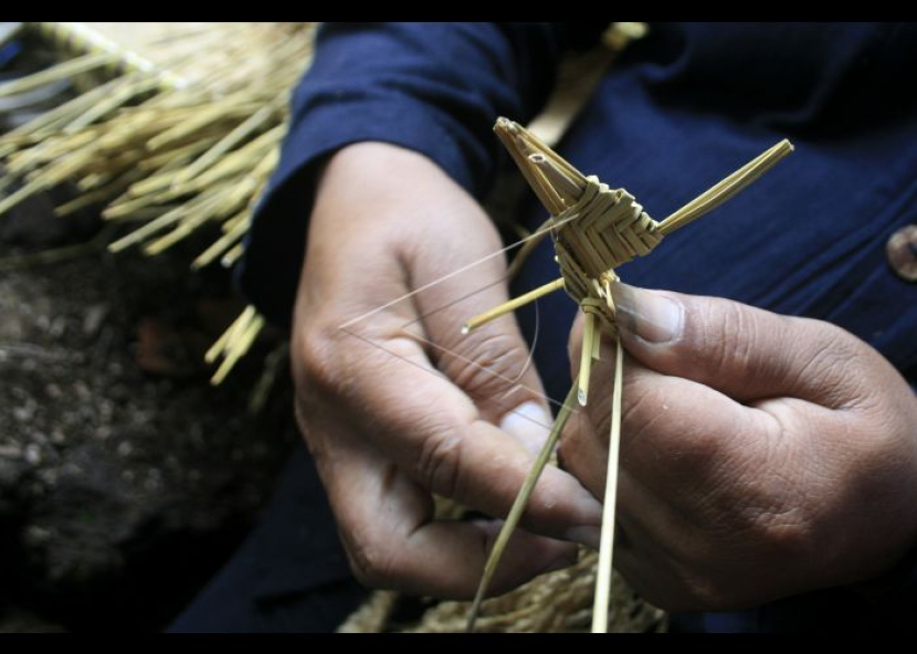 Wayang Padi. Foto: Antara