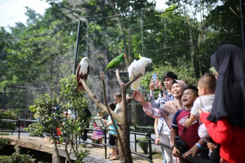 Para pengunjung asyik memfoto kawanan burung di Kebun Binatang