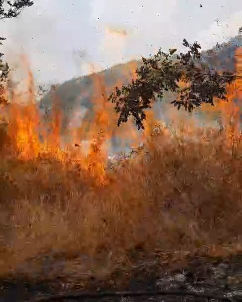 Kebakaran area hutan TNGC Kabupaten Kuningan, Ahad (22/10/2023). (Tangkapan Layar/Dok BPBD Kabupaten Kuningan)