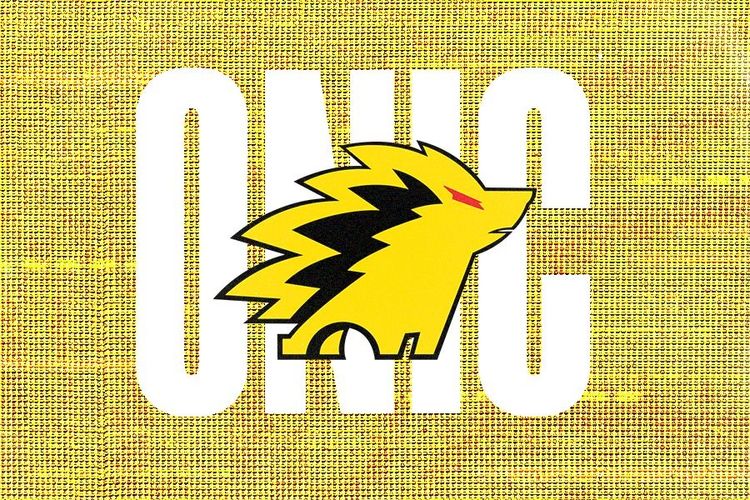 Rekor ONIC di Grand Final MPL Indonesia, (Hampir) Selalu Juara!