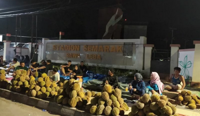 Durian lokal yang dijual pedagang di pinggir jalan Bengkulu dari perkebunan warga.