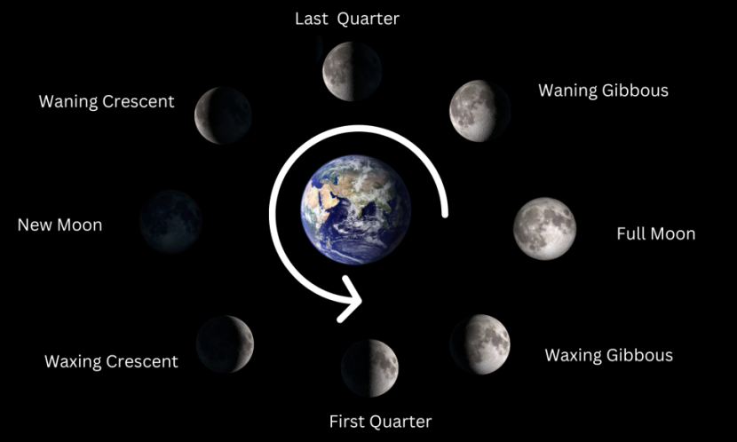 Las fases de la Luna son de acercamiento y alejamiento de la Luna en el primer trimestre.  Imagen: NASA