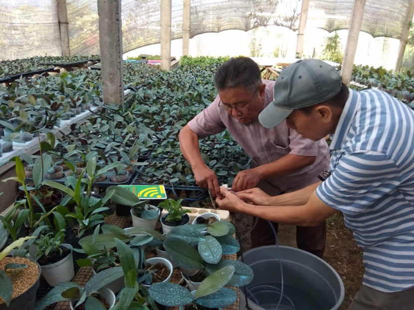 Tim program pengabdian kepada masyarakat Universitas Negeri Malang (UM) mengenalkan teknologi Smart Garden untuk petani anggrek di Kota Batu. Foto: Tim pengabdian UM