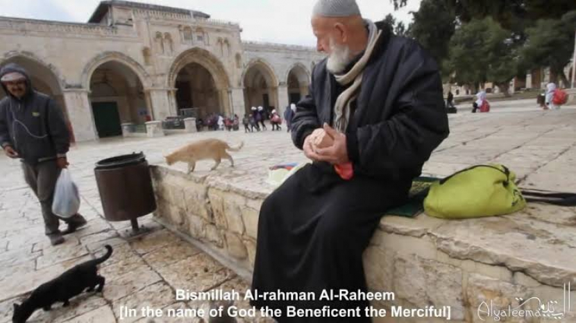 “Bapak kucing” Ghassan Younes, mendedikasikan hidupnya untuk memberi makan kucing di Kompleks Masjid Al-Aqsa. Foto: Alyateema