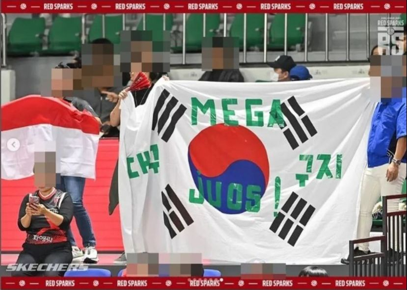 Bendera Korea yang ditangkap kamera dicoret-coret supertoer WNI. Dok: MHN News