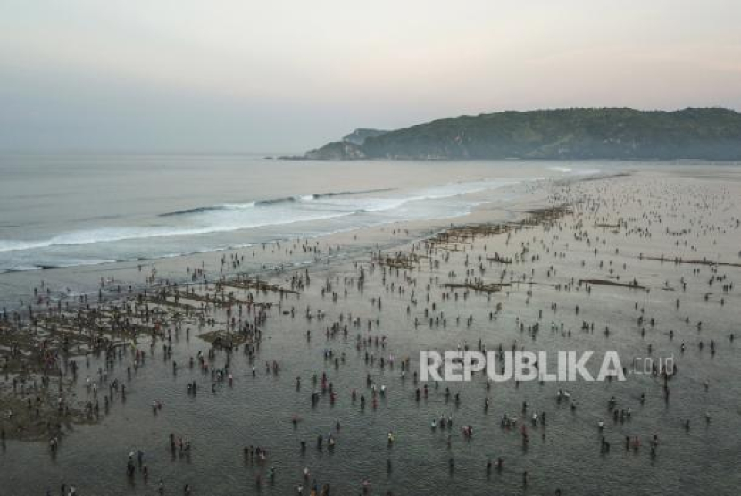 Foto udara warga mengikuti Tradisi Bau Nyale yang merupakan tradisi turun temurun masyarakat Sasak Lombok menangkap nyale yang muncul sekali setahun di pantai selatan Lombok. (dok. ANTARA/AHMAD_SUBAIDI)