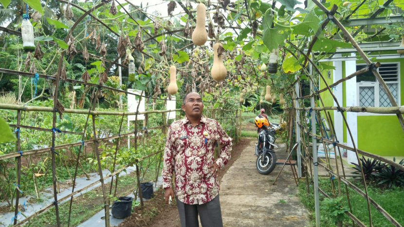 Dr. Nasir meninjau perkembangan sektor pertanian dan ketahanan pangan di lokasi lahan pertanian Balai Penyuluh Pertanian (BPP) Kecamatan Cipeucang, Kamis (09/02/2023)***