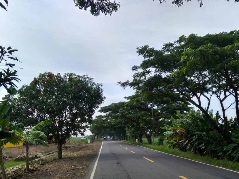 Jalan Raya Juntinyuat. (Lilis Sri Handayani)