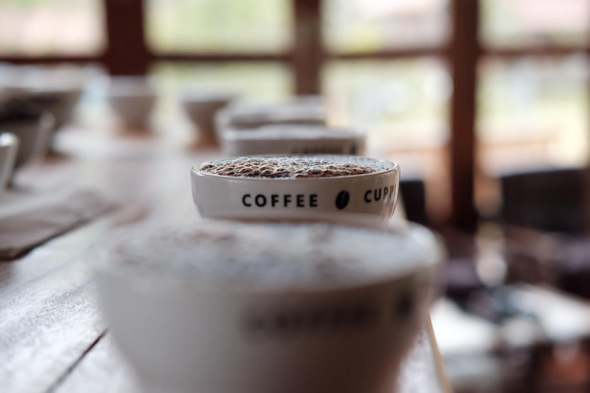 Proses pascapanen menentukan karakter rasa pada kopi yang kita seduh.