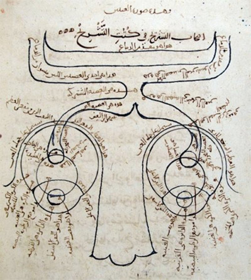 Ilustrasi anatomi mata dalam Kitab al-Manazir.