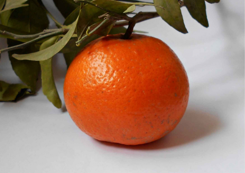 Kinno, jeruk mandarin untuk Hari Raya Imlek 2022/ Foto: Canva