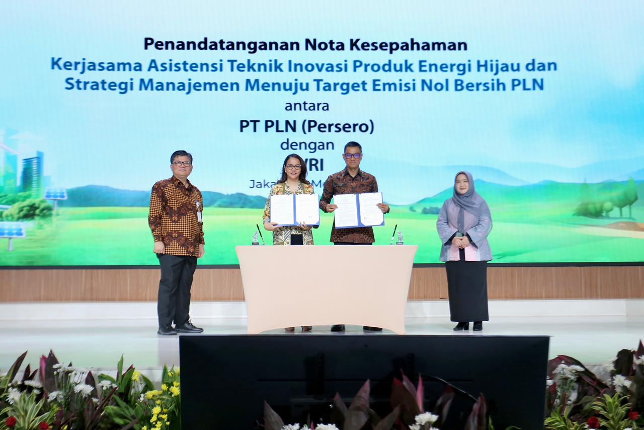 pln yes