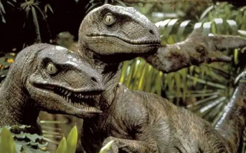 Salah satu adegan di film Jurassic Park yang menampilkan velociprator. (Dok. Universal Pictures)