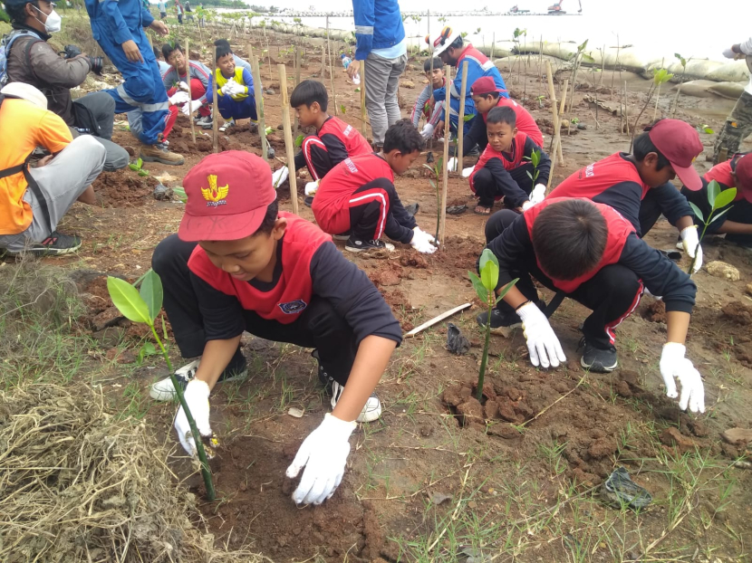 Anak-anak SD ikut menanam mangrove di Pantai Rembat. (Lilis Sri Handayani)