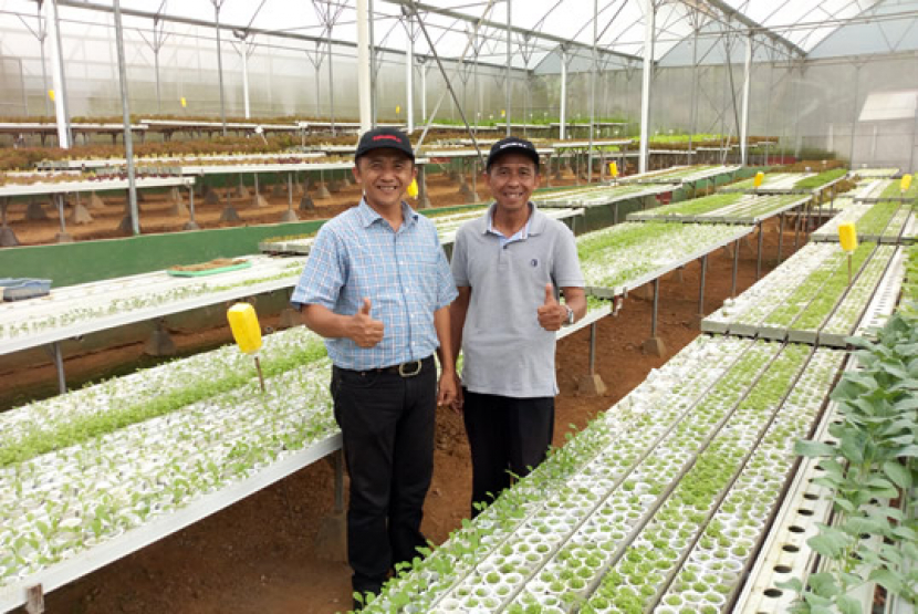 Pertanian dengan sistem hidroponik yang dilengkapi green house adalah cara bercocok tanam masa depan ketika lahan pertanian semakin lanka.