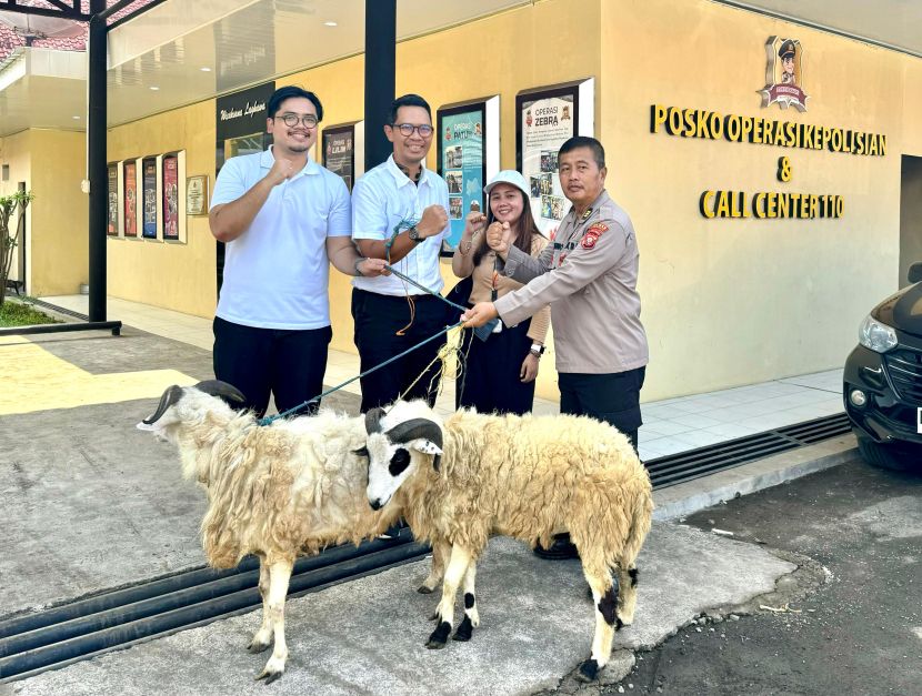 Polytama telah mendistribusikan hewan kurban kambing dan sapi ke berbagai lokasi di Indramayu termasuk desa di area Ring- (Dok. Matapantura.republika.co.id)