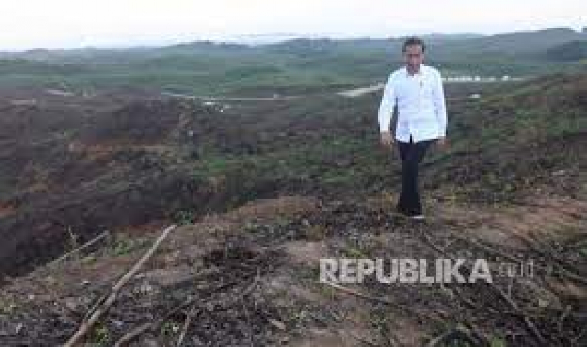 Presiden Joko Widodo berjalan sendirian di lokasi ibu kota baru di Penajam Kalimantan Timur. (foto: Republika)