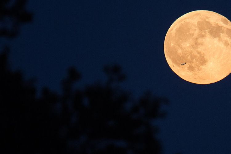 Bulan purnama Pink Moon. Gambar: NASA