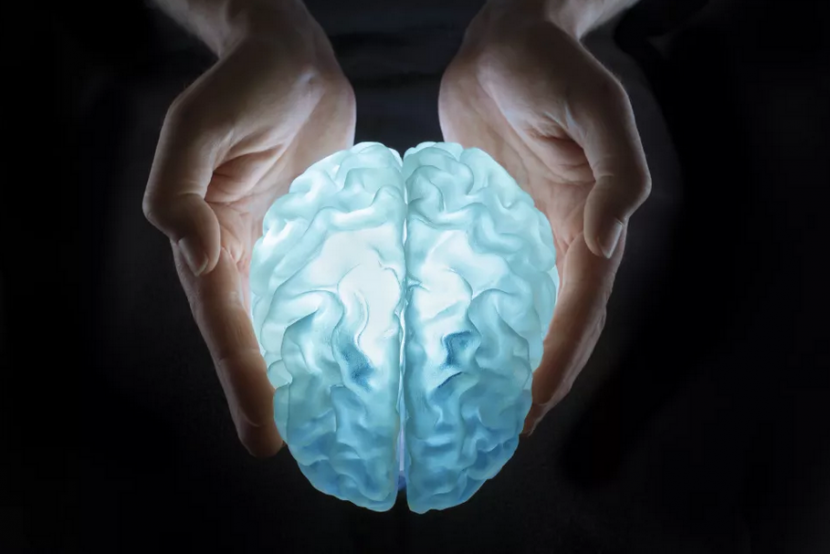 Ilustrasi otak manusia. 
