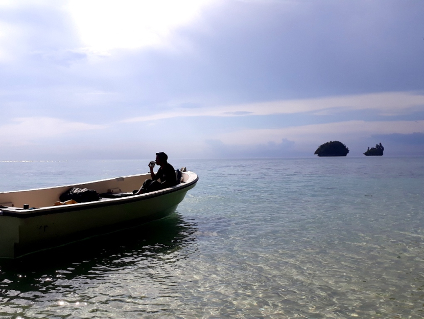 Kelautan, maritim, bahari, ternyata memiliki makna yang berbeda. Kelautan berkaitan dengan budi daya, maritim berkaitan dengan perdagangan, dan bahari berkaitan dengan budaya. Maka 'sea tourism' dipadankan dengan 'wisata bahari', bukan 'wisata laut'.