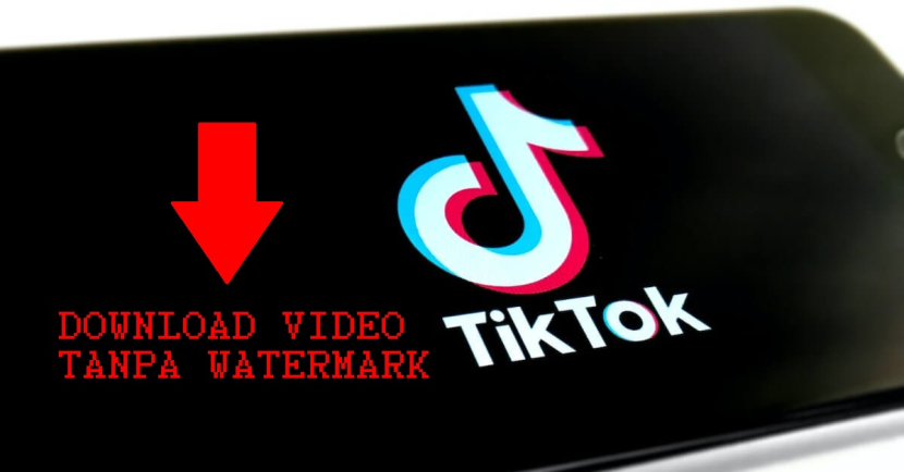 Video TikTok bisa didownload gratis tanpa batasan.