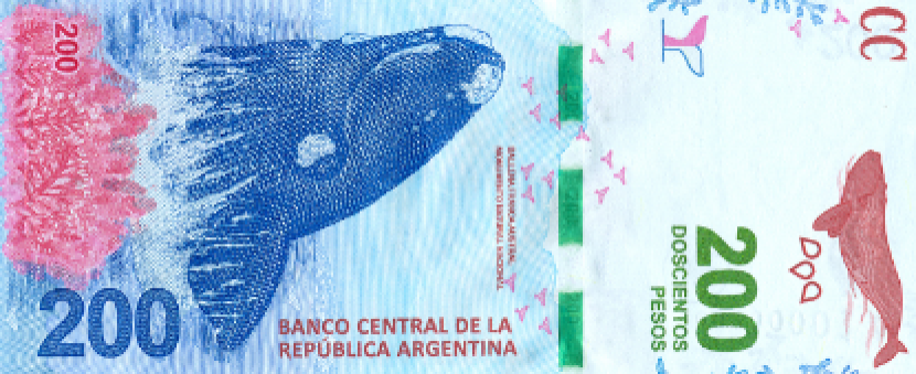 Ilustrasi uang peso Argentina   (Dok. bcra.gob.ar)