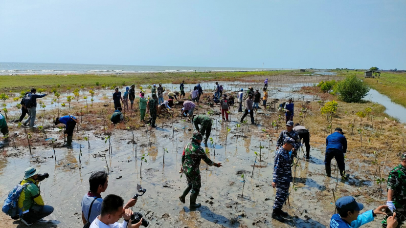 Penanaman mangrove di Pantai Karangmalang Desa Tanjakan. (Istimewa)