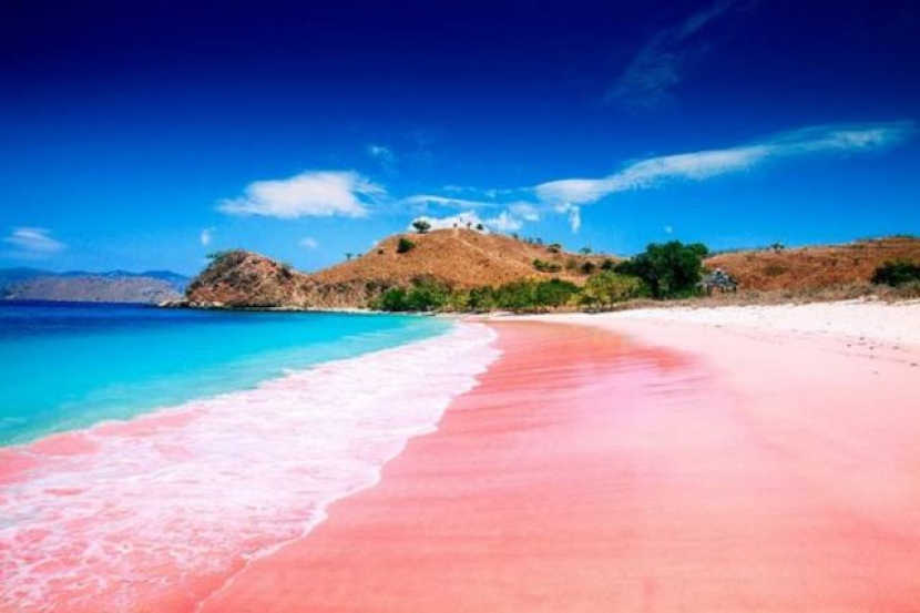 Pantai Pink di Lombok.