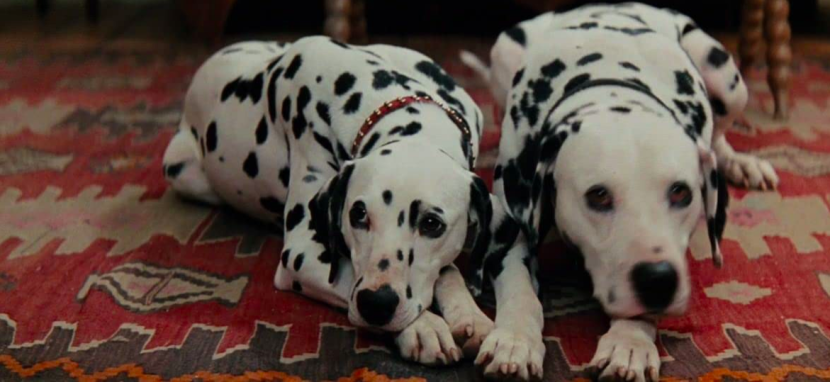 Anjing Dalmatians yang bermain di film 101 Dalmatians. (Dok. Buena Vista)